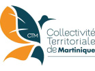 kit officiel logo ctm